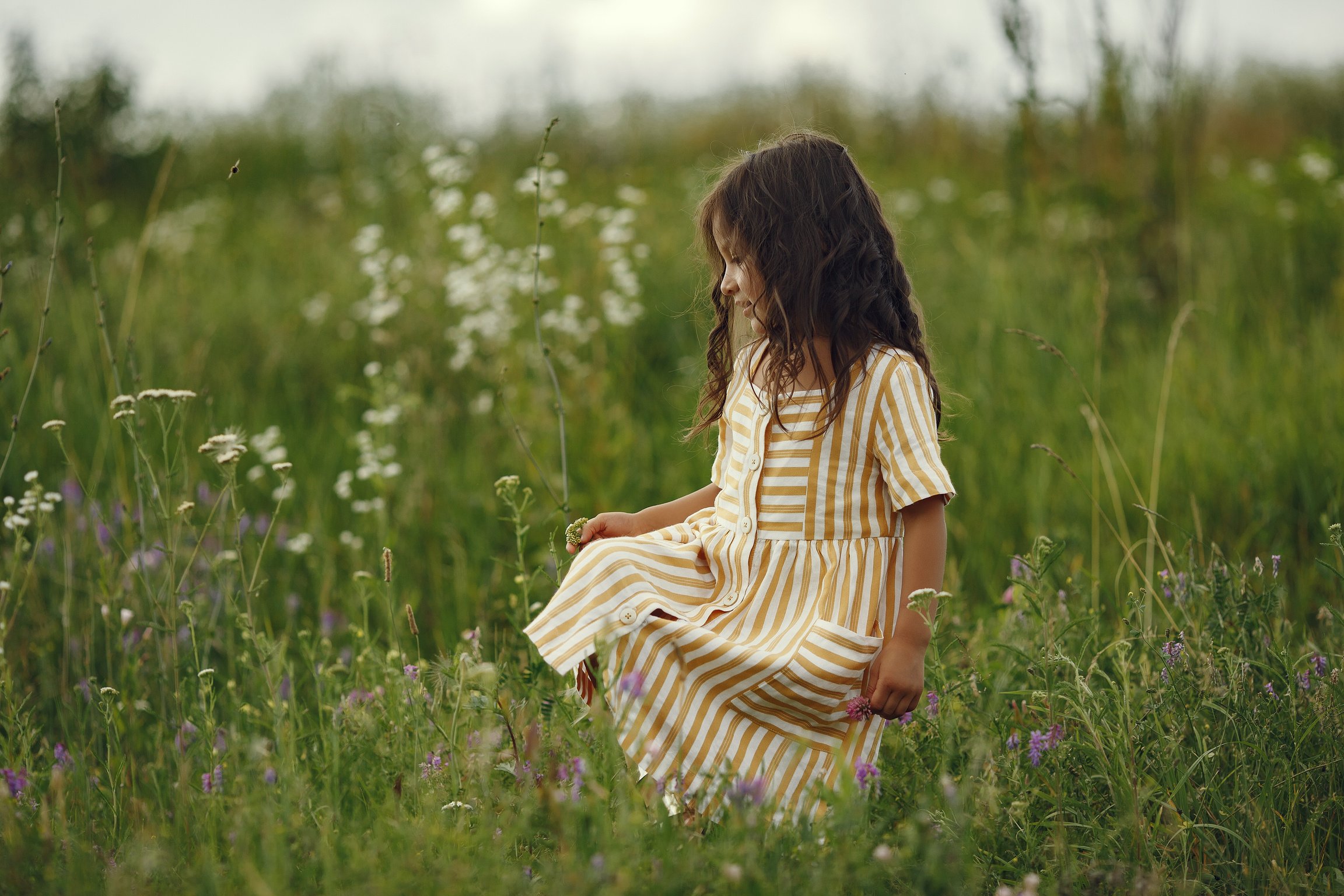 Cute Little Girl Playing in a Summer Field